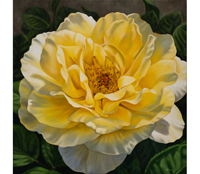 Janci Mannington "Summer Rose"